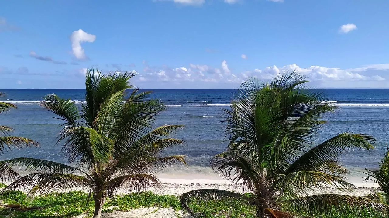 Appartement Sur La Plage, Avec Vue Panoramique Sur Le Lagon - Yacayou サン・フランソワ グアドループ