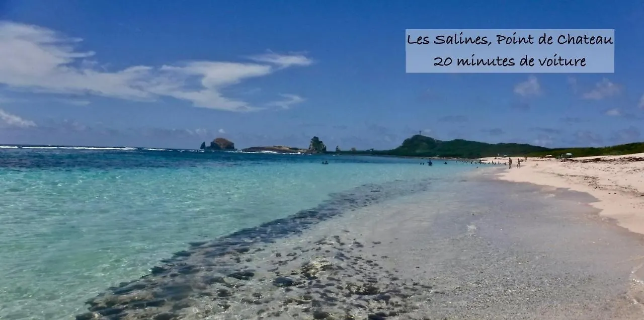 Appartement Sur La Plage, Avec Vue Panoramique Sur Le Lagon - Yacayou Saint-Francois  0*, Saint-Francois (Grande-Terre)