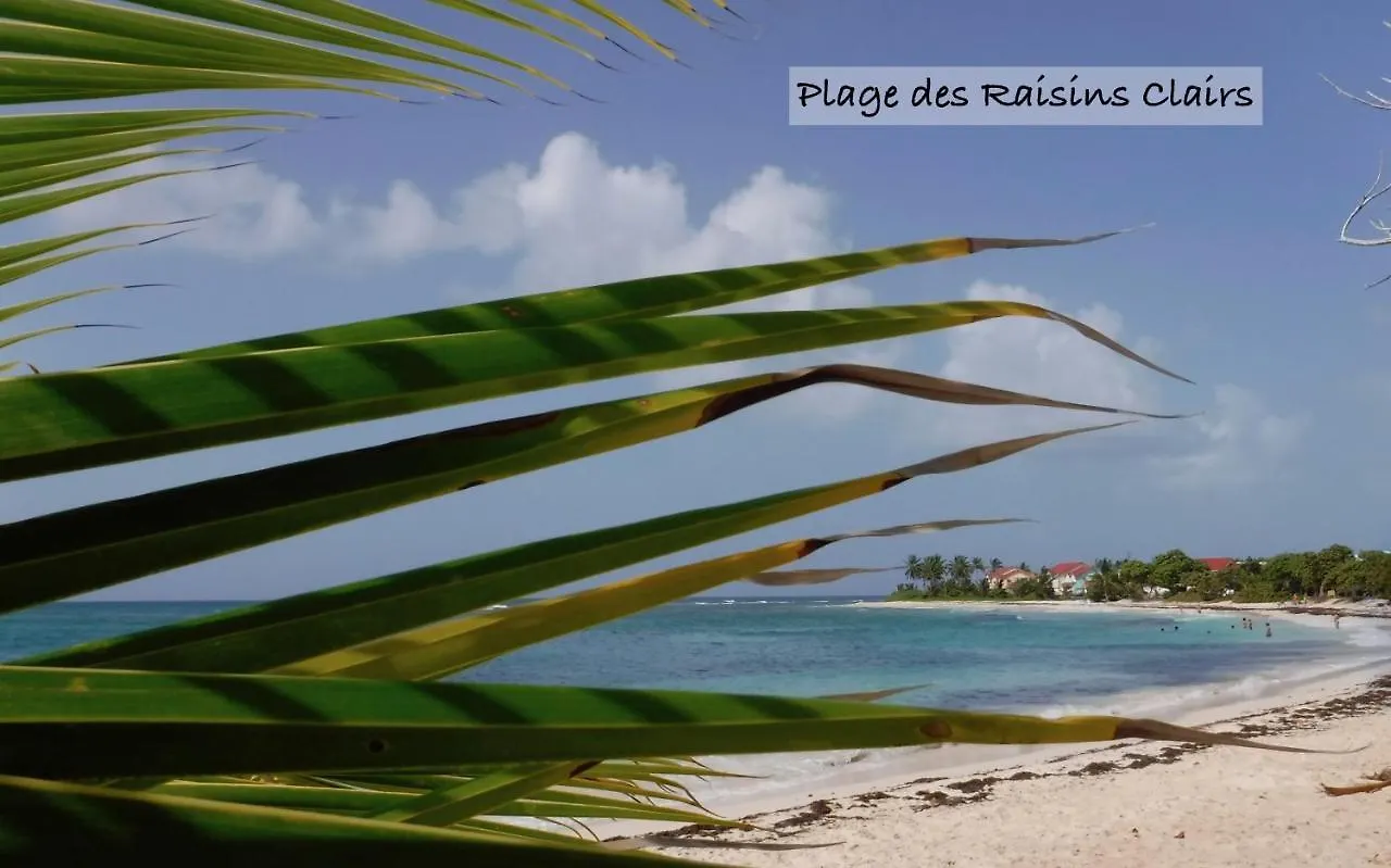 Apartment Appartement Sur La Plage, Avec Vue Panoramique Sur Le Lagon - Yacayou Saint-Francois